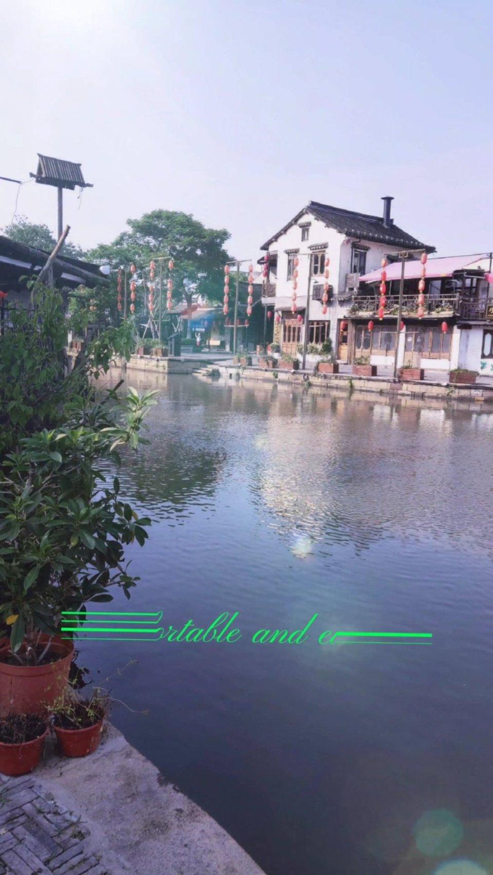 萌宠大连接